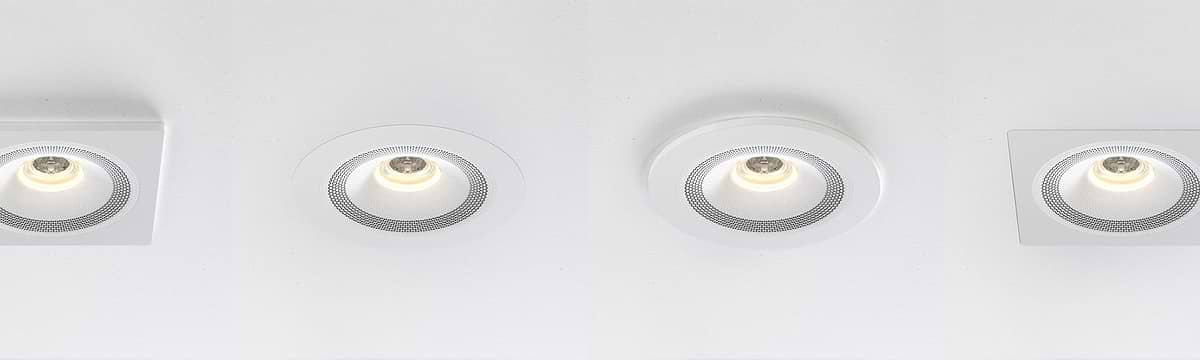Zuma Speaker Lights