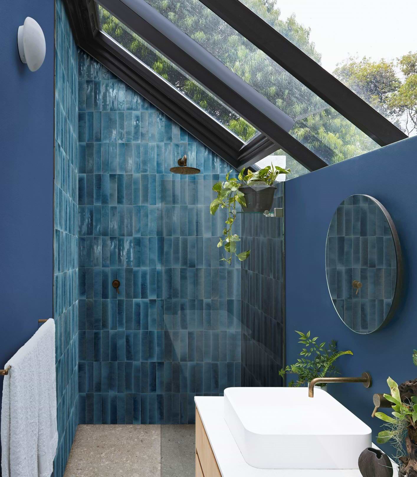 About The Collection