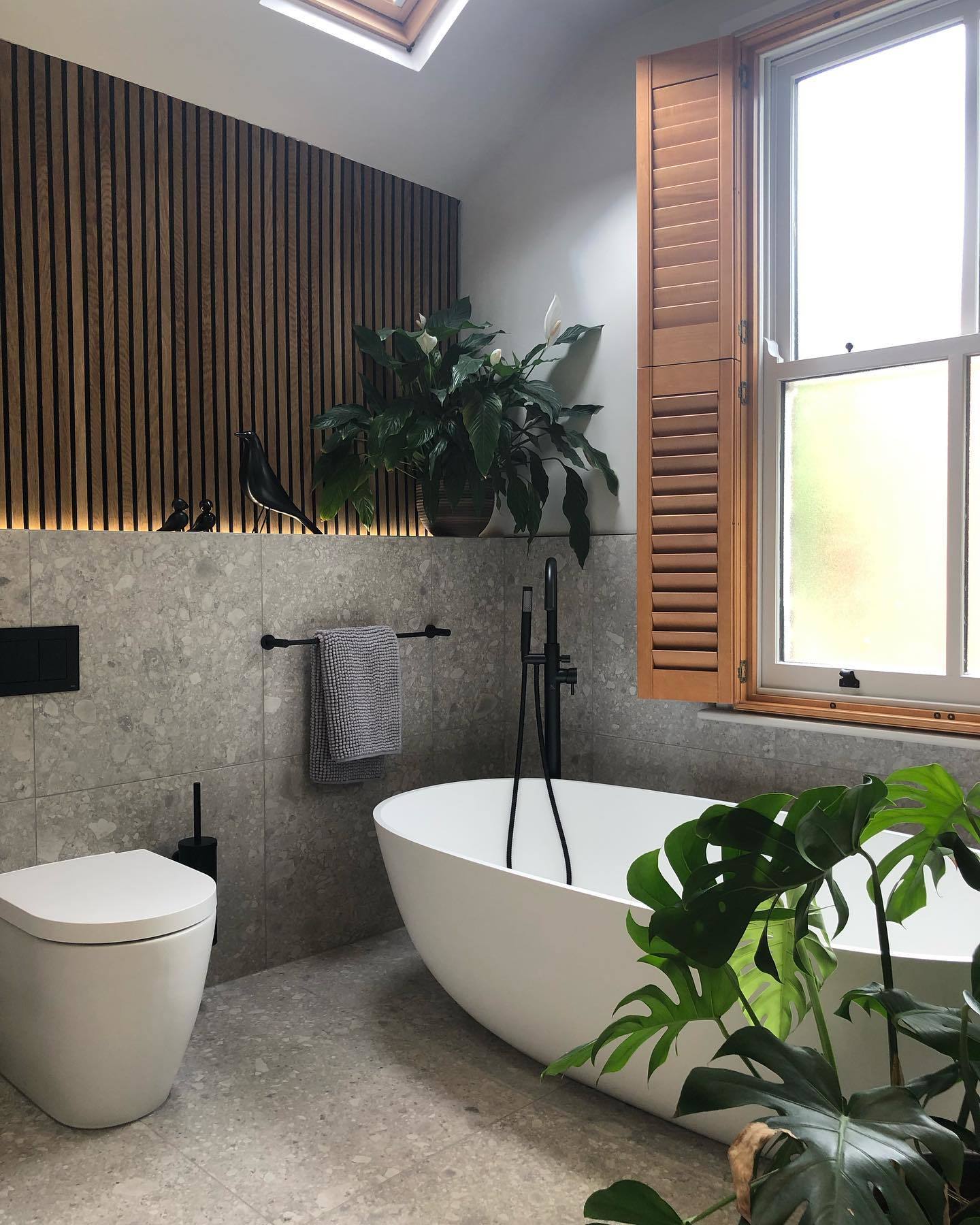 About The Collection