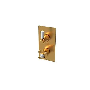 C.P. Hart Waterloo Thermostatic Two Outlets Dual Control Shower Valve