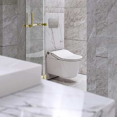 TOTO RW Auto Flush Washlet