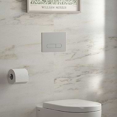 C.P. Hart Spillo Dual Flush Plate