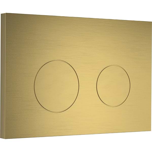 Samuel Heath Flush Plate for Geberit Omega Concealed Cistern Antique Brass Matt